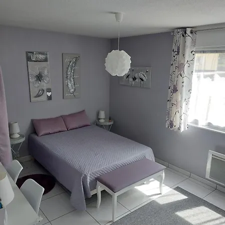 Le Cosy De Blanchepierre, Proche Centre *